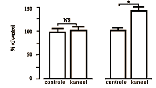 Cinnamon piles the glucose on in the muscles