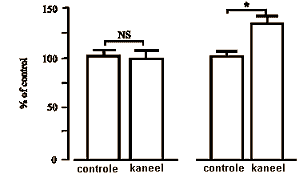 Cinnamon piles the glucose on in the muscles
