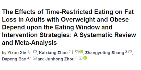Maintain your muscle mass during intermittent fasting | 4 strategies