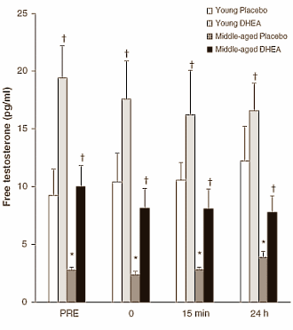 DHEA-supplementation boosts post-interval training anabolism