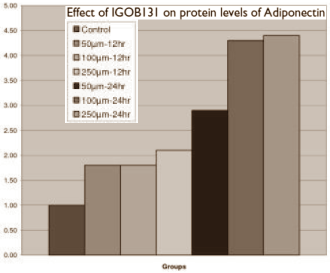 The triple slimming effect of Irvingia gabonensis