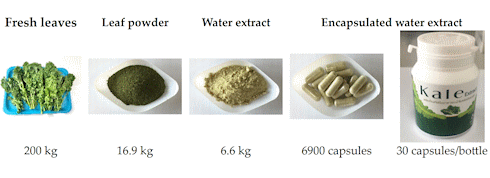 Is kale a painkiller?