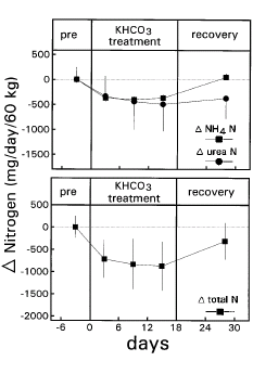 Potassium supplement makes protein metabolism more efficient