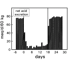 Potassium supplement makes protein metabolism more efficient