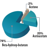 You need to know this before you buy ketones