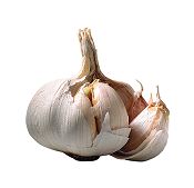 Garlic, prostate cancer and Death Receptor 4