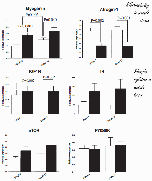 Human study: mistletoe boosts effect of strength training