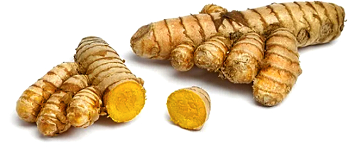 Curcumin, the main bioactive substance in turmeric, inhibits the production of estradiol. How the anti-oestrogenic effect of curcumin works the researchers at Hubei University of Medicine in China didn't look at, but that doesn't make their in-vitro study any less interesting.