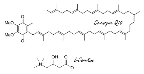 Q10 and L-carnitine effective against migraine
