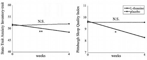 L-Theanine, the complete stress buster