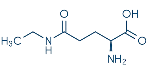 L-Theanine, the complete stress buster