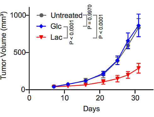 Lactic acid helps the body clear up tumors