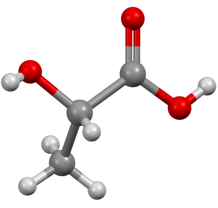 Lactic acid helps the body clear up tumors