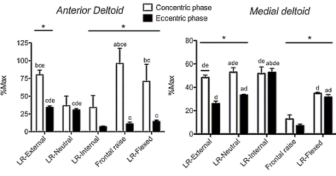 This is perhaps the most effective version of the lateral raise