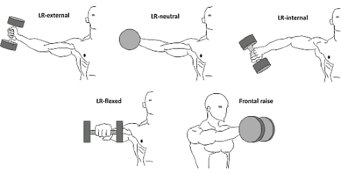 This is perhaps the most effective version of the lateral raise