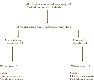 L-Carnitine helps centenarians build muscle mass