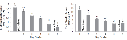 These are the healthiest parts of butter lettuce