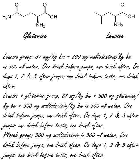 Glutamine enhances muscle strengthening effect of leucine