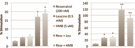 Resveratrol-leucine combo boosts fat burning