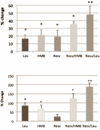 Resveratrol-leucine combo boosts fat burning