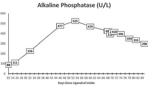 Is LGD-4033 liver toxic?