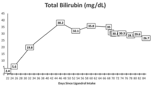 Is LGD-4033 liver toxic?