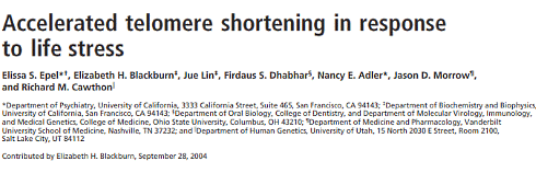 Stress reduces life expectancy at molecular level