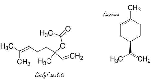 Aromatherapy with bergamot oil enhances positive feelings