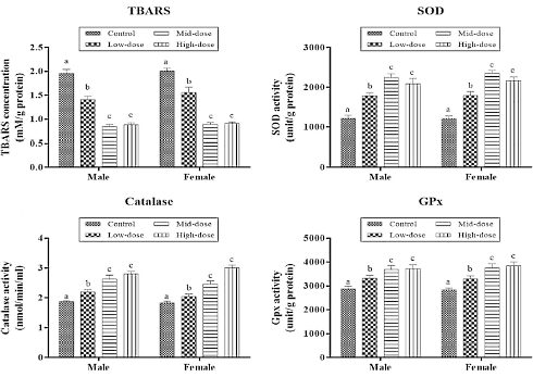 Lion's Mane as a life extender