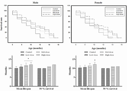 Lion's Mane as a life extender