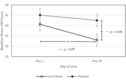 Lion's mane extract improves reaction speed and reduces stress