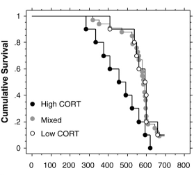 Curious? Then you'll live longer