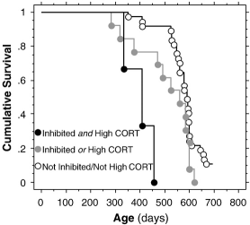 Curious? Then you'll live longer
