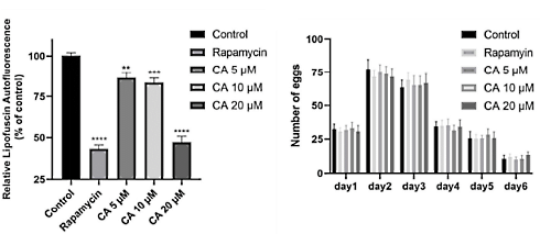 Is curcumin acetylsalicylate a life extender?