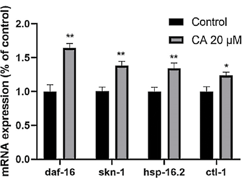 Is curcumin acetylsalicylate a life extender?