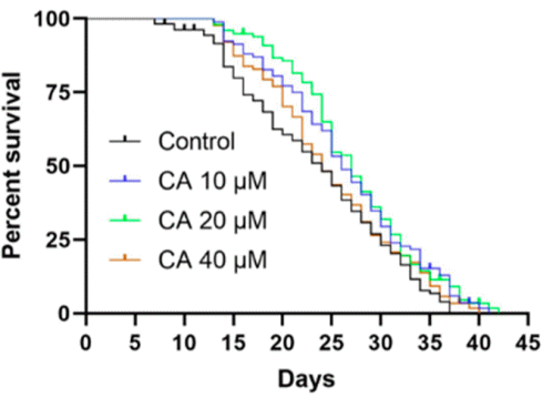 Is curcumin acetylsalicylate a life extender?