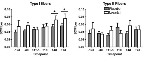 Anabolic effect of blood pressure drug losartan due to myostatin inhibition