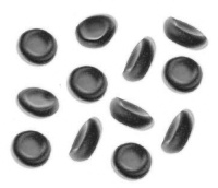 Red Blood Cell Width Distribution: another way in which resistance training extends life expectancy