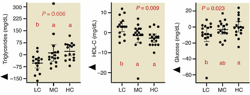 Even if a low carbohydrate diet does not make you slimmer, it still makes you healthier