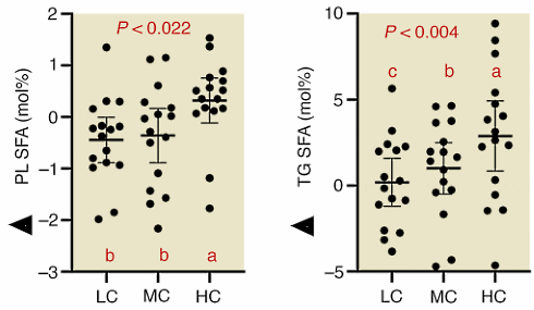 Even if a low carbohydrate diet does not make you slimmer, it still makes you healthier