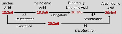 Even if a low carbohydrate diet does not make you slimmer, it still makes you healthier
