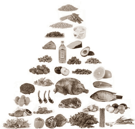 Low-carb diet doesn't mean loss of muscle mass or strength