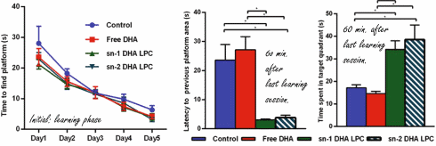 New omega-3 analog sn1-DHA-LPC improves memory