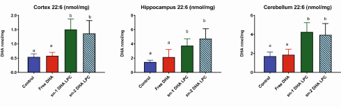 New omega-3 analog sn1-DHA-LPC improves memory