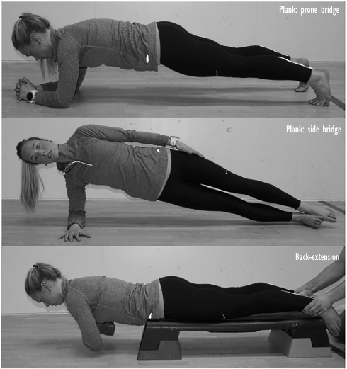 For core muscles development, plank exercises and back extensions are irreplaceable