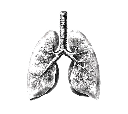 Supplement with omega-3 fatty acids takes lungs functioning to a higher level