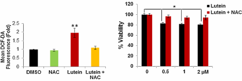 Lutein, the anti-cancer compound from kale and spinach