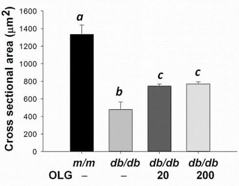 Lychees inhibit muscle breakdown | Animal study