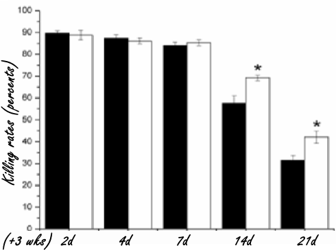 Enhanced with lycopene, Natural Killer Cells are better cancer fighters