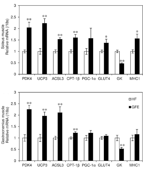 Maitake is a PPAR-delta agonist - just like cardarine